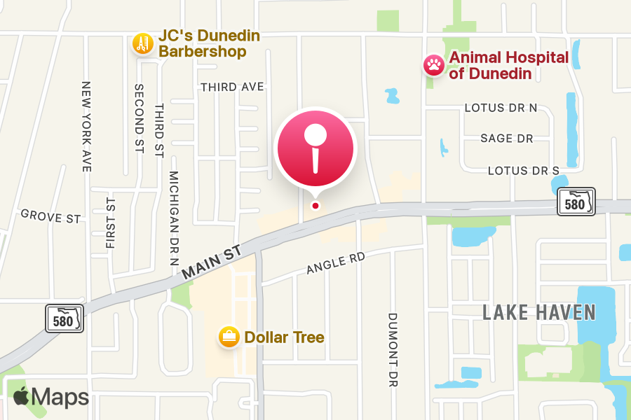 The Oasis Tattoo tattoo studio