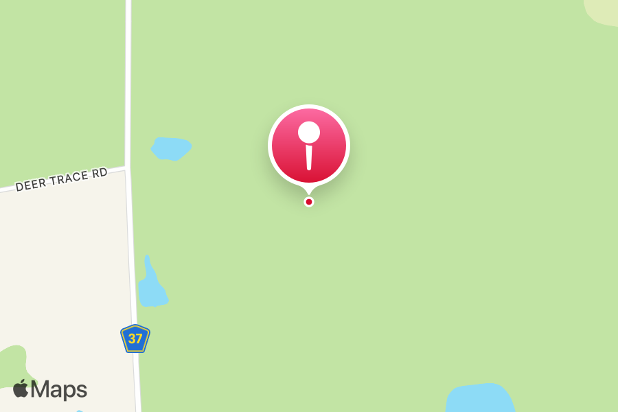 Casey Feed tattoo studio