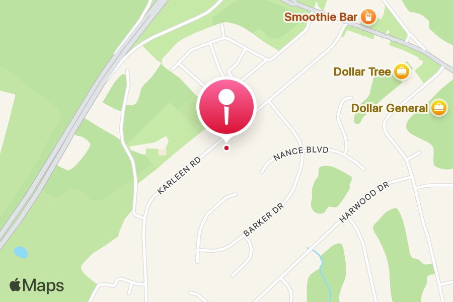 Blue Ink tattoo studio