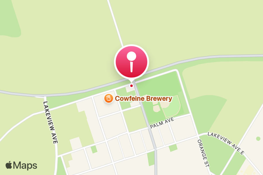 Expressway Store tattoo studio